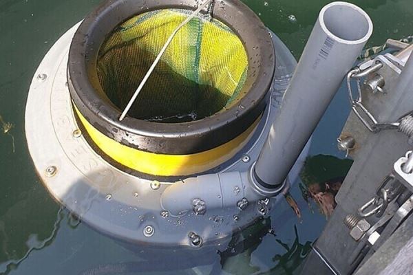 На испытаниях «пылесоса» для сбора мусора из воды погибли множество морских животных 