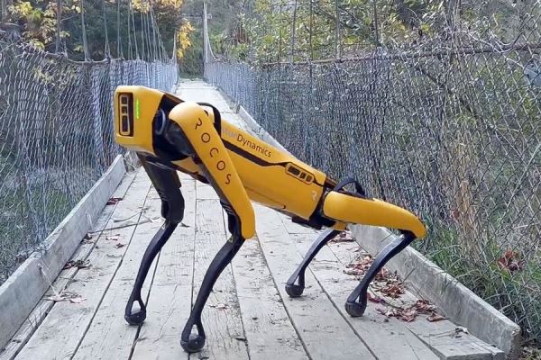 Создатели робопсов Boston Dynamics пообещали никогда не «вооружать» своих роботов 