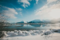 В России оценили последствия продажи Аляски через 50 лет